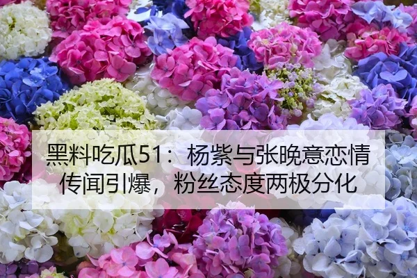 黑料吃瓜51：杨紫与张晚意恋情传闻引爆，粉丝态度两极分化